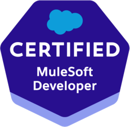 MuleSoft Developer